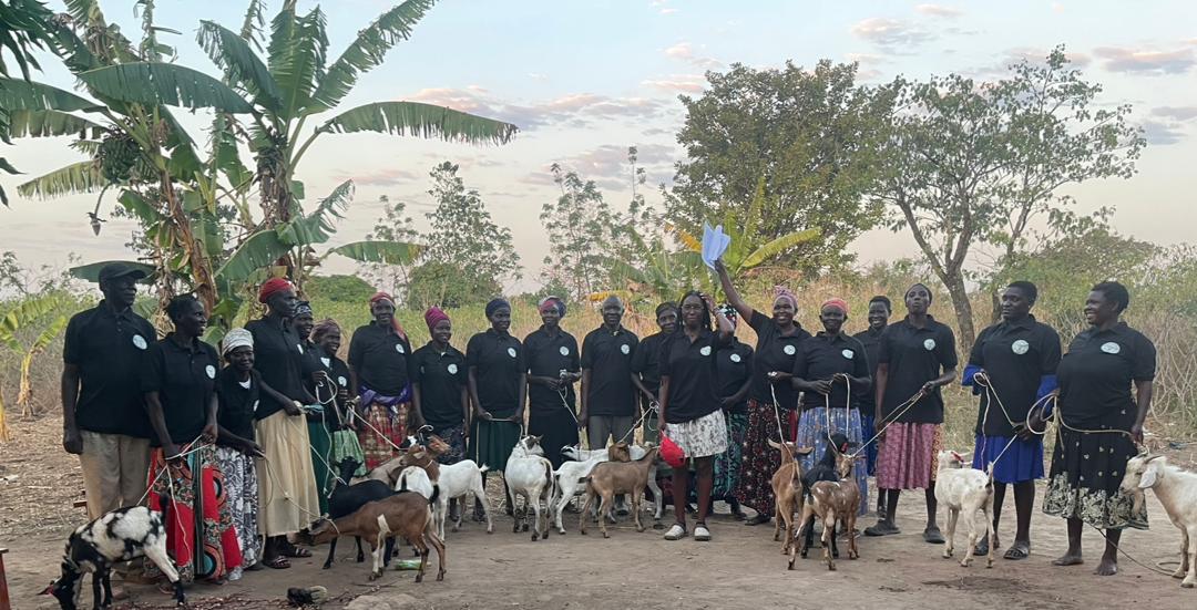 Goats distributed to upto 20 beneficiaries