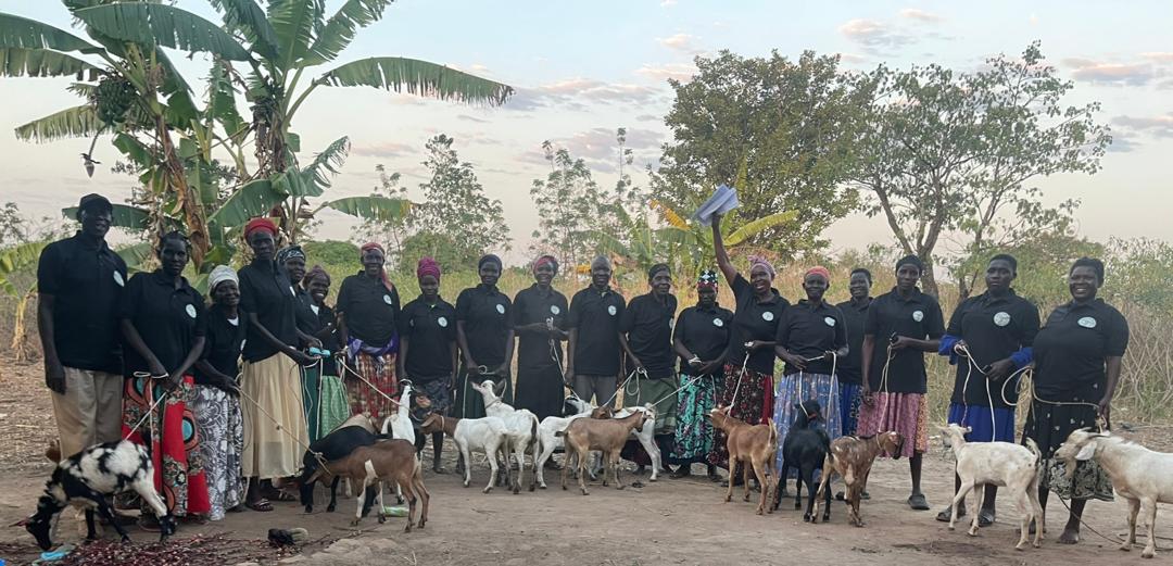 Official commencement of the project